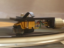 middle_1265179249.jpg