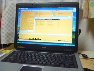 middle_1328060797.jpg